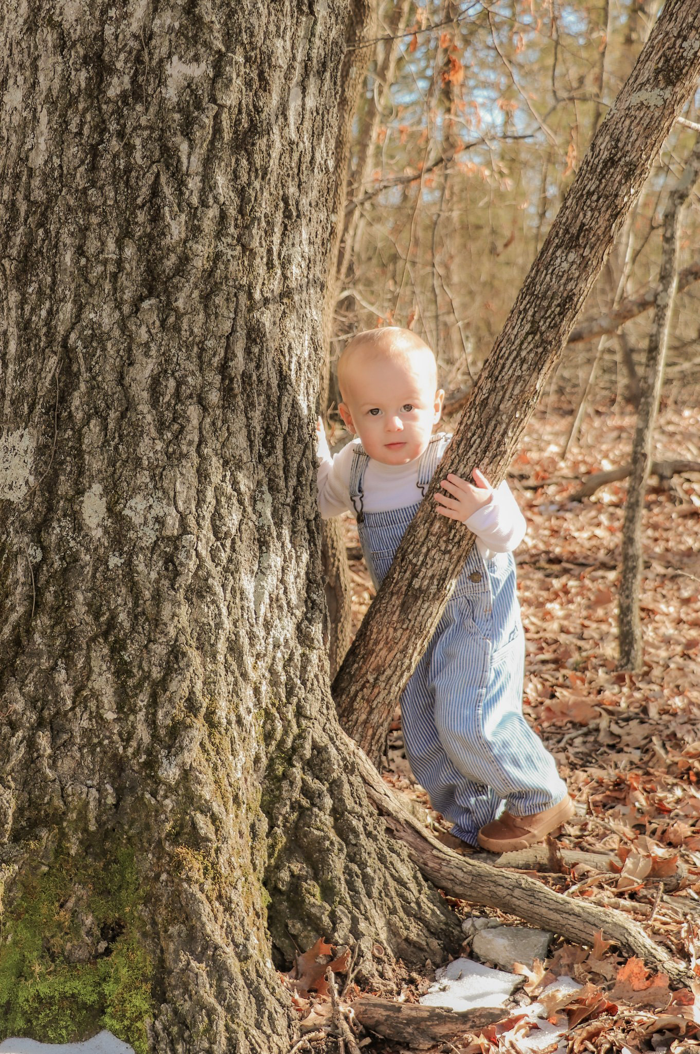 Boy in Woods Portrait